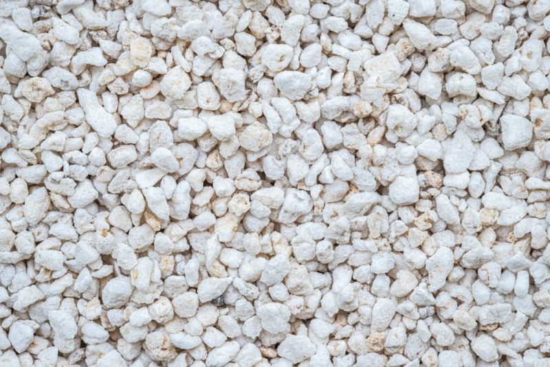 Perlite vs Vermiculite What Are The Differences? Horticulture