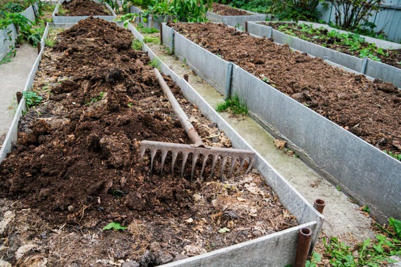How To Use Horse Manure Compost In The Garden Horticulture