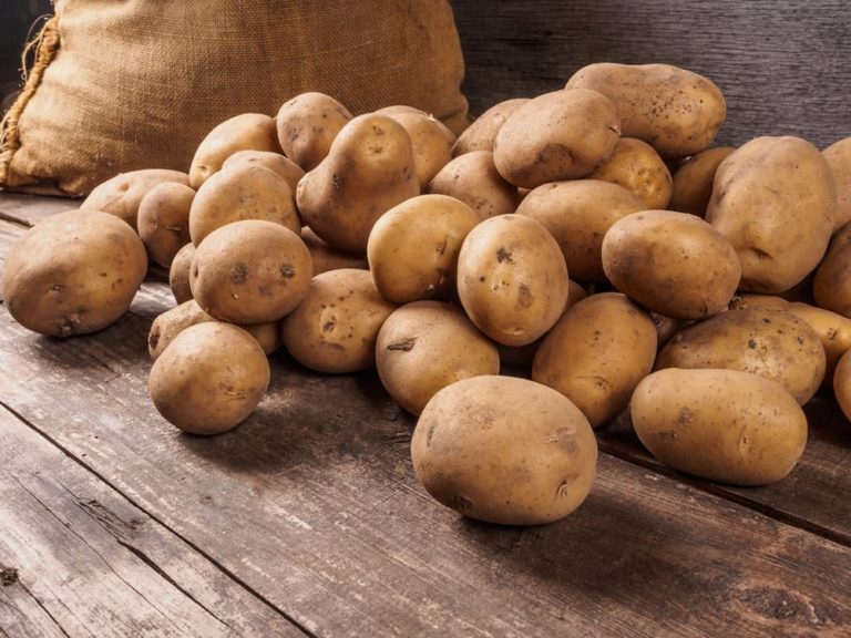 Can You Grow Potatoes From StoreBought Ones? Horticulture