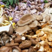 many varieties of mushroom on a market stall