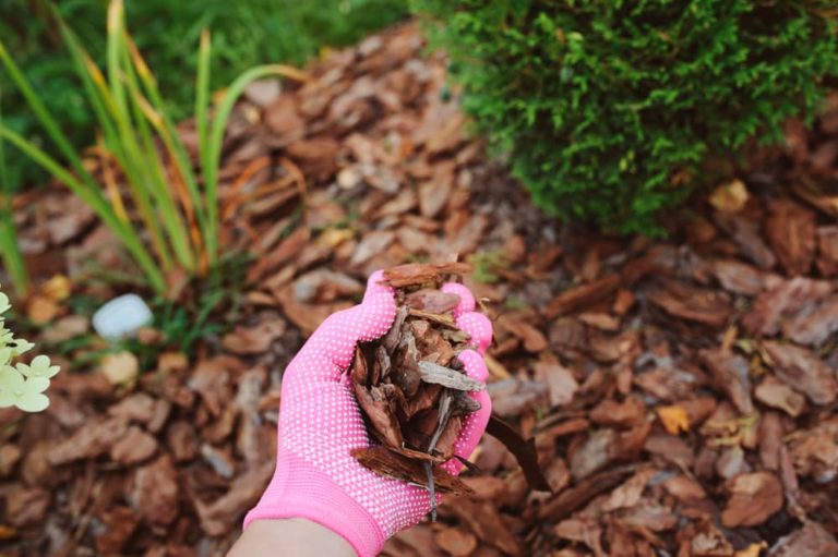 8 Ways To Use Wood Chips In Your Garden Horticulture.co.uk