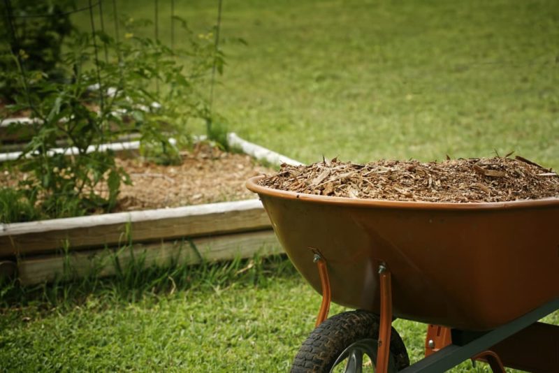 8 Ways To Use Wood Chips In Your Garden Horticulture.co.uk
