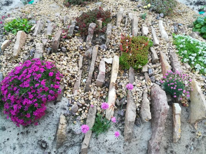 How To Make An Alpine Garden In 8 Steps Horticulture.co.uk
