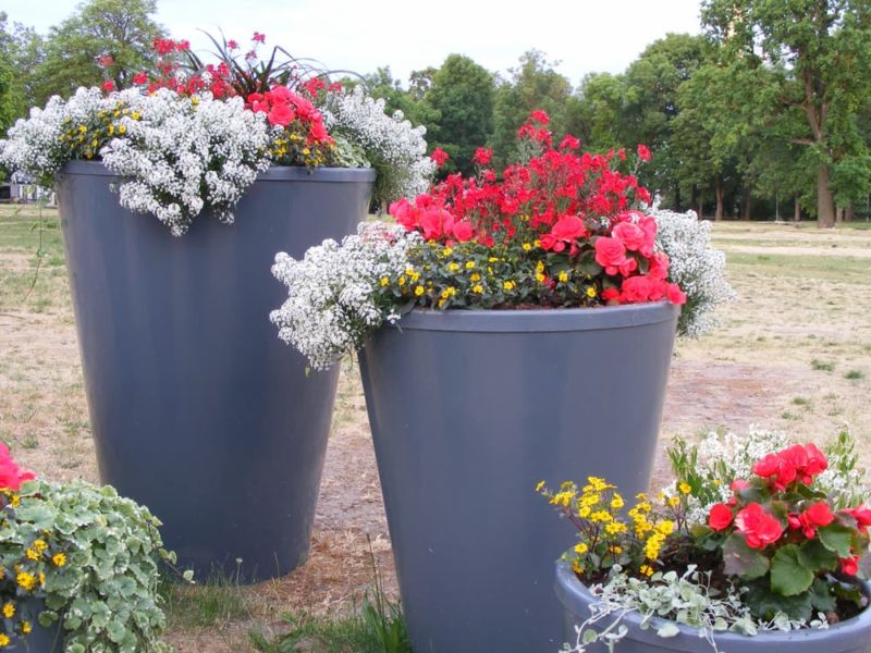 98 Outdoor Planter Ideas For Your Garden | Horticulture.co.uk