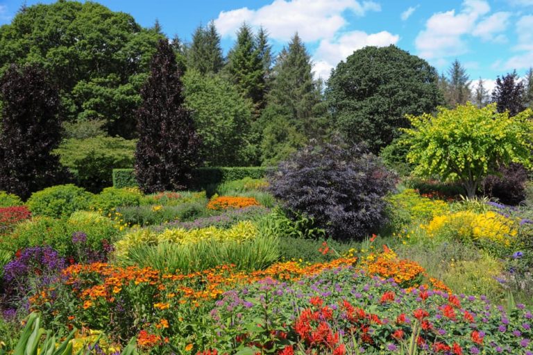 How To Create A Stunning Herbaceous Border Horticulture