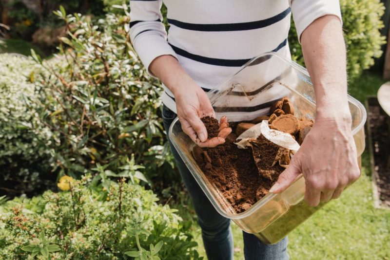 How To Compost With Coffee Grounds Effectively Horticulture