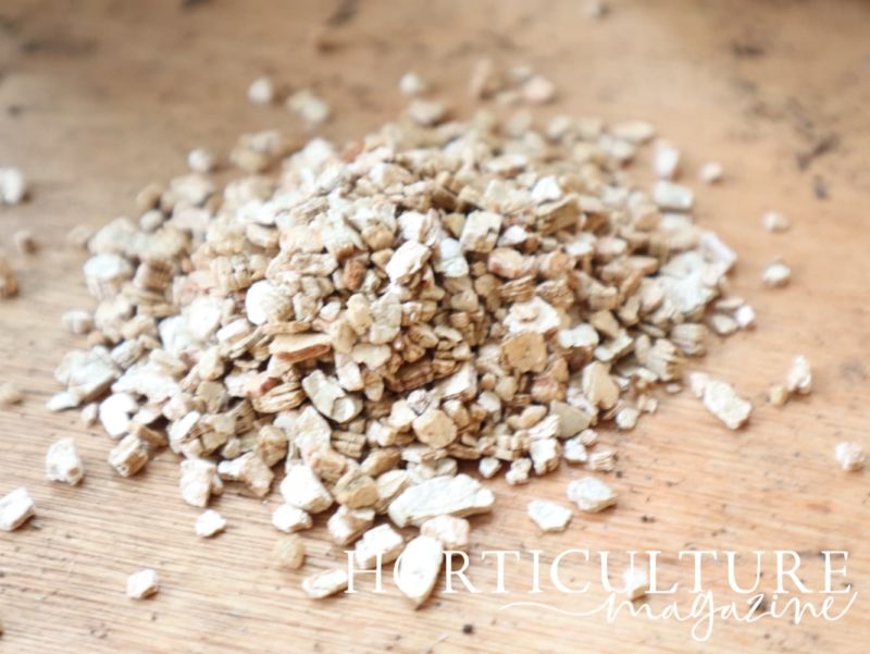 Perlite vs Vermiculite What Are The Differences? Horticulture