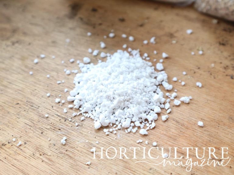 Perlite vs Vermiculite What Are The Differences? Horticulture
