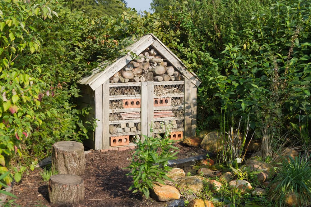 an insect hotel surrounded by shrubs and rocks