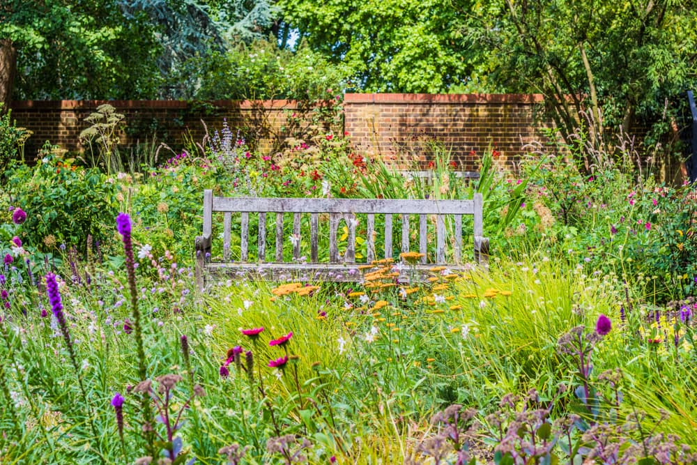 a wooden garden bench in a perennial garden growing area