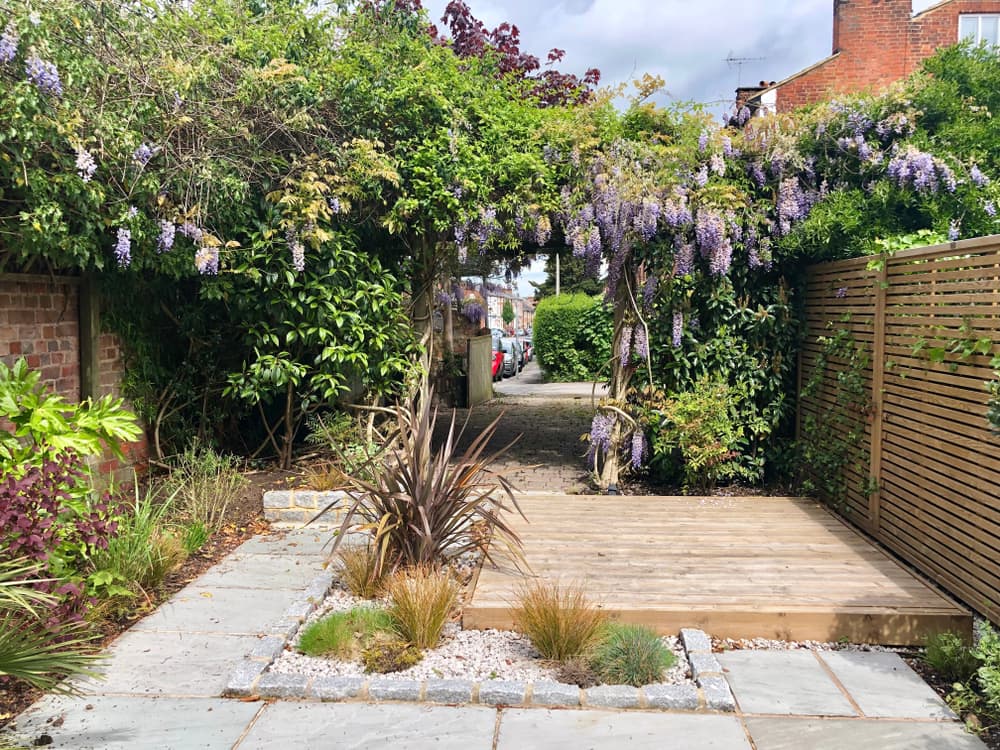 small decking area surrounded by purple flowering wisteria