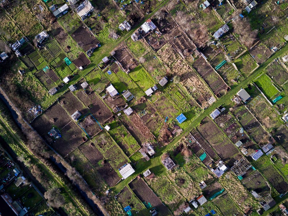 a birds eye view of allotment plots