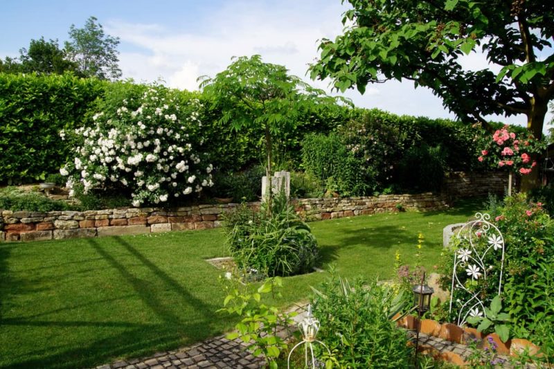 How To Get Privacy In An Overlooked Garden Horticulture.co.uk