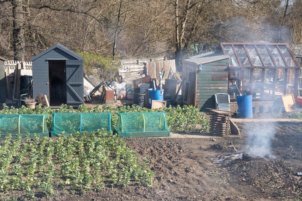 burning garden waste in an allotment space