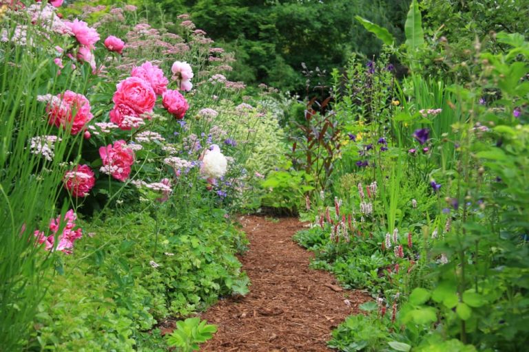 25 Stunning Cottage Garden Plant Ideas Horticulture.co.uk