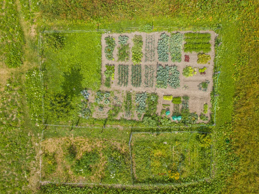 birds eye view of fenced off growing plot