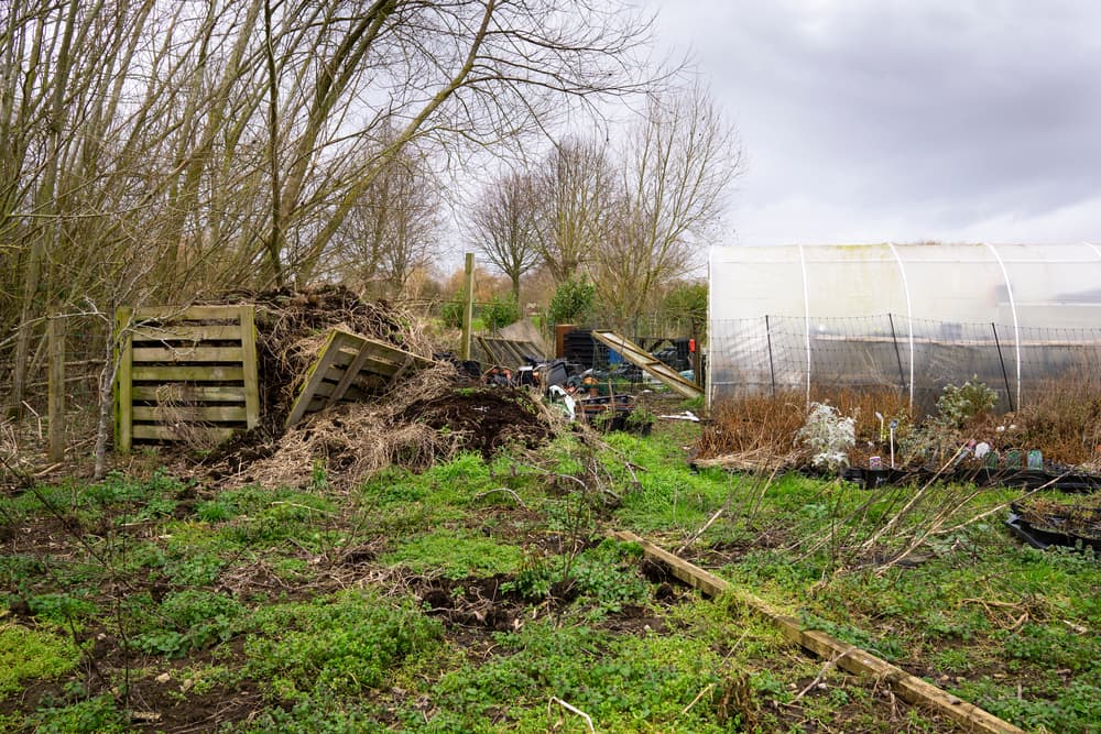 an overgrown allotment ready for clearing