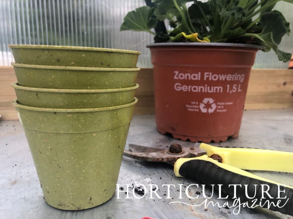 potted geranium plant, green garden containers and a pair of yellow secateurs sat on a greenhouse potting table
