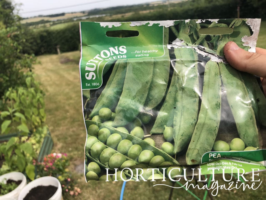 a packet of suttons pea seeds held in front of a large garden