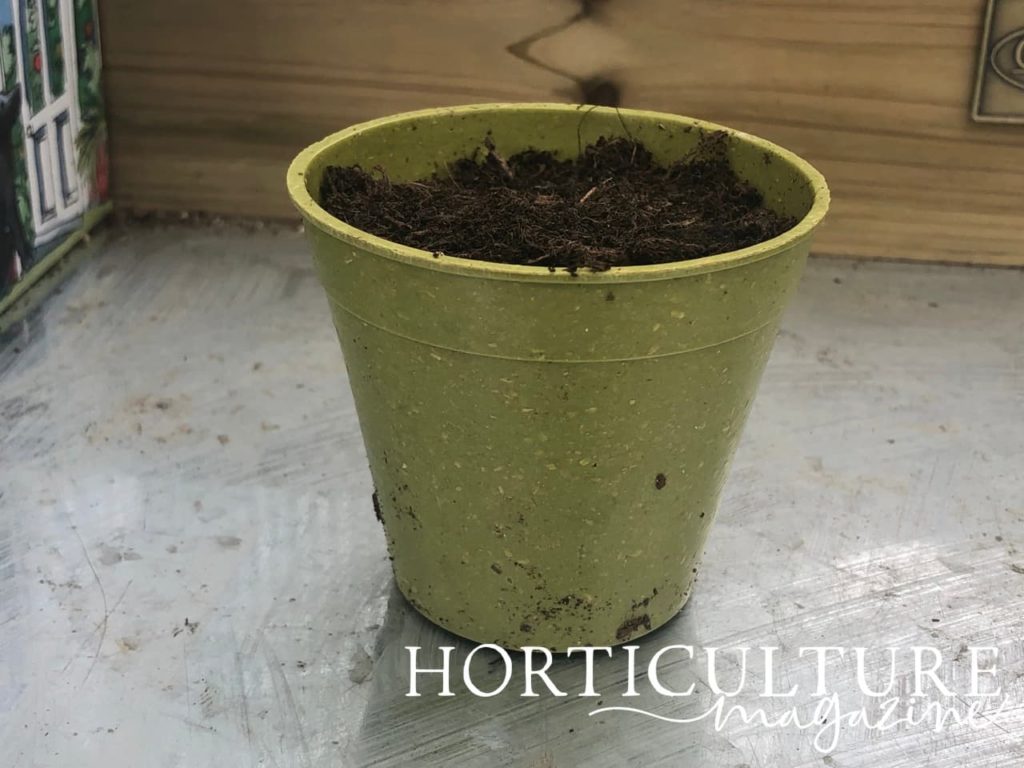 a green pot filled with compost on a potting table