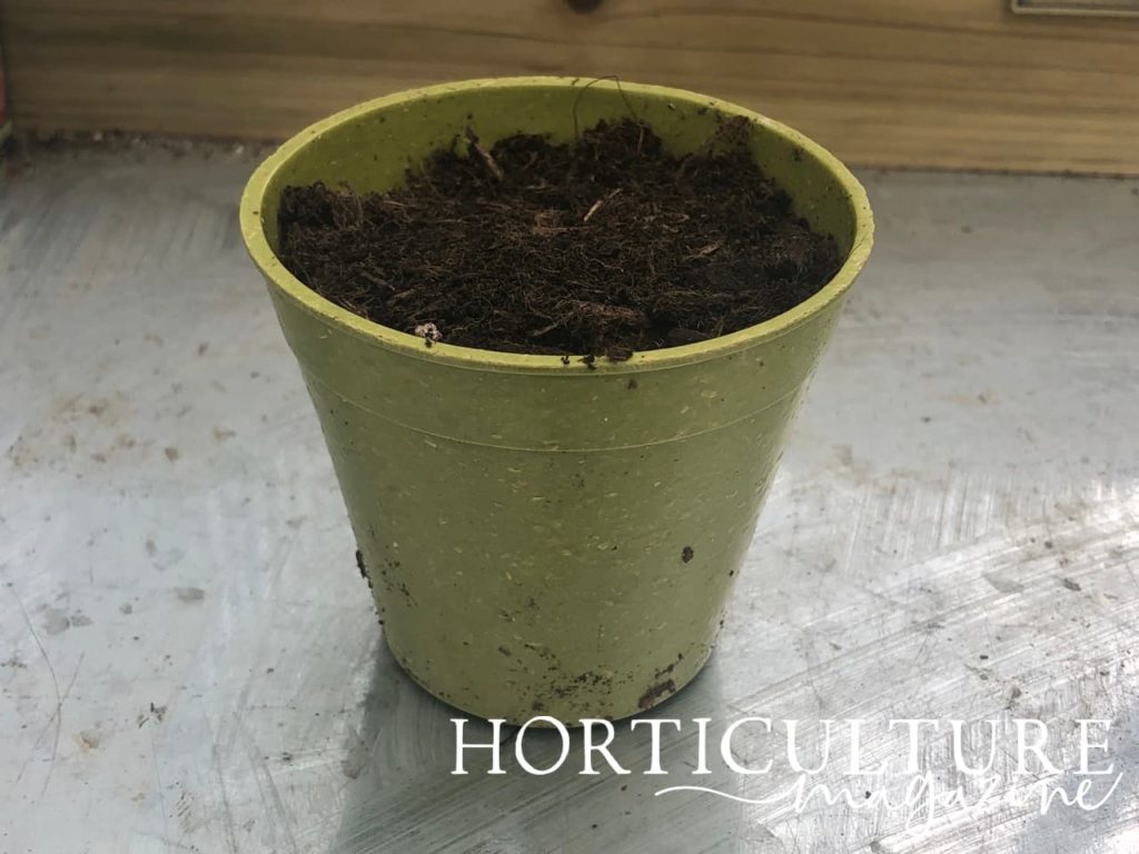a small green pot filled with compost on a potting table