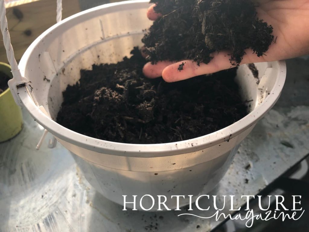 close up of outstretched palm with compost being placed into a pot