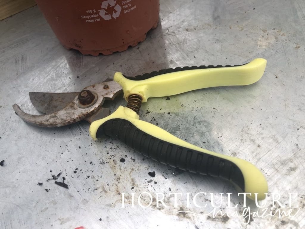 a pair of black and yellow secateurs