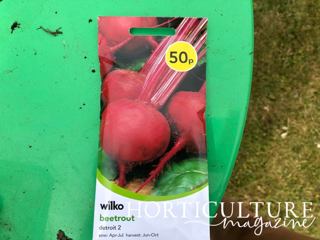 wilko beetroot seeds on a round green table in the garden