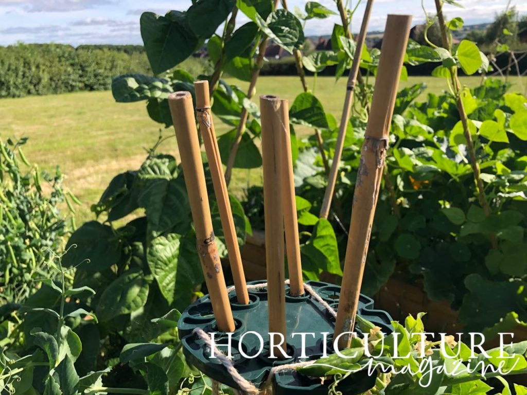 bamboo canes threaded into a plastic holder and used to make a support structure