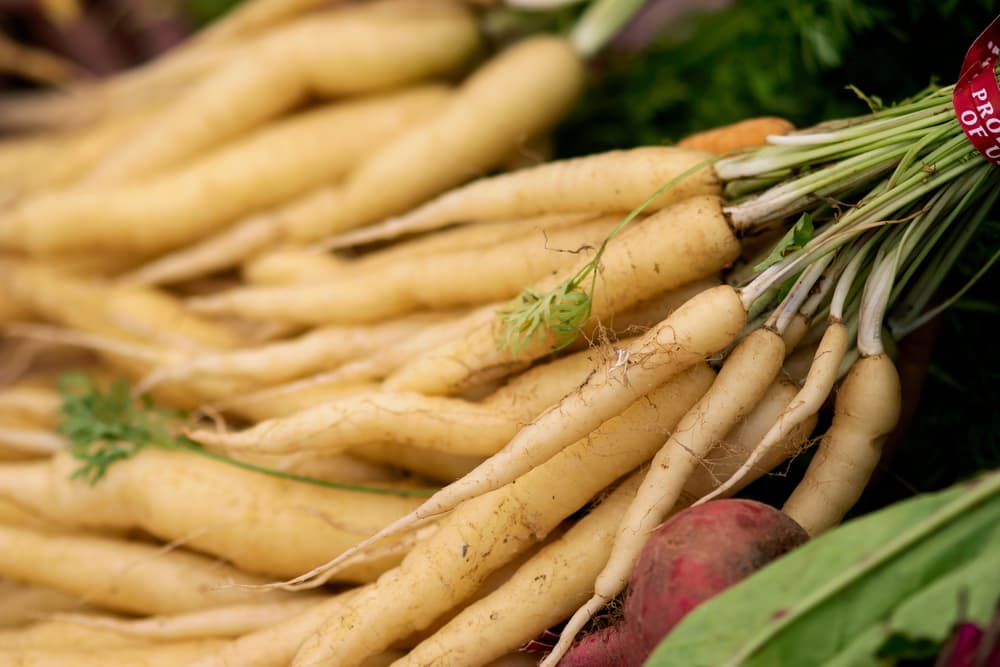 white freshly harvested carrots