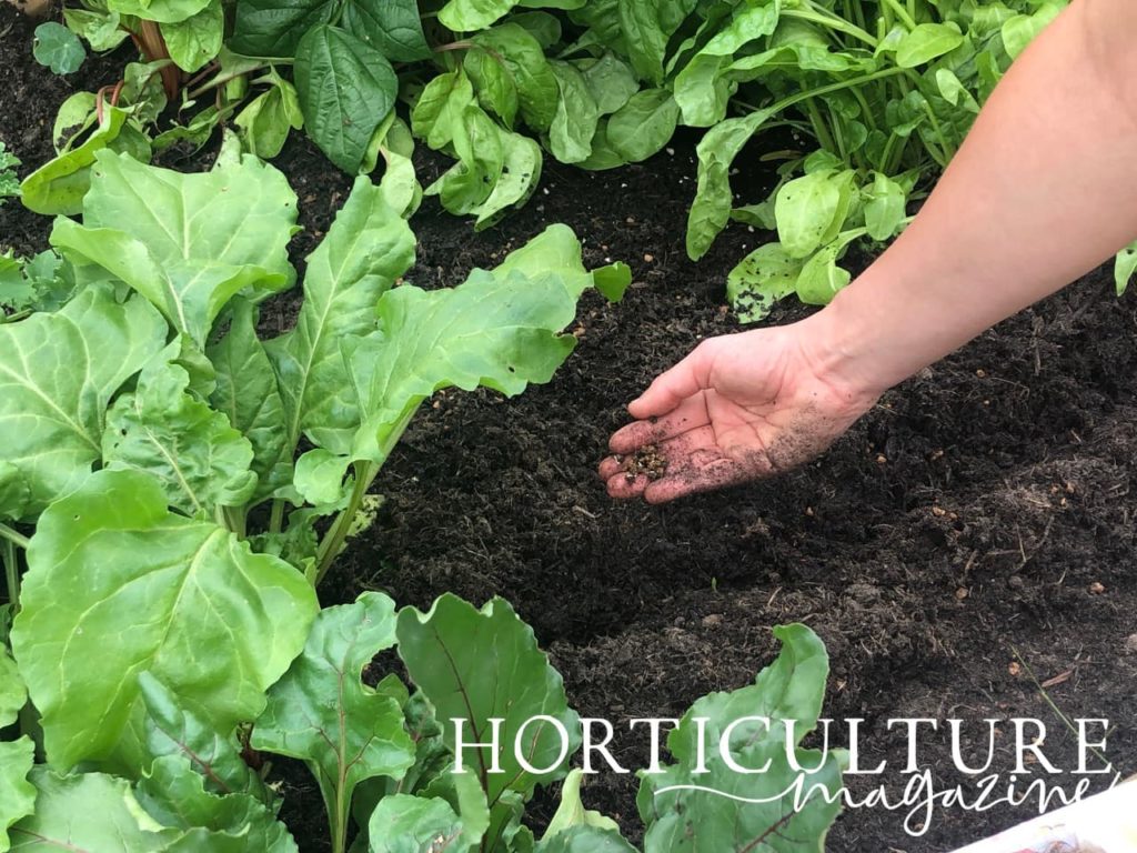 hand shown dropping seeds into rows