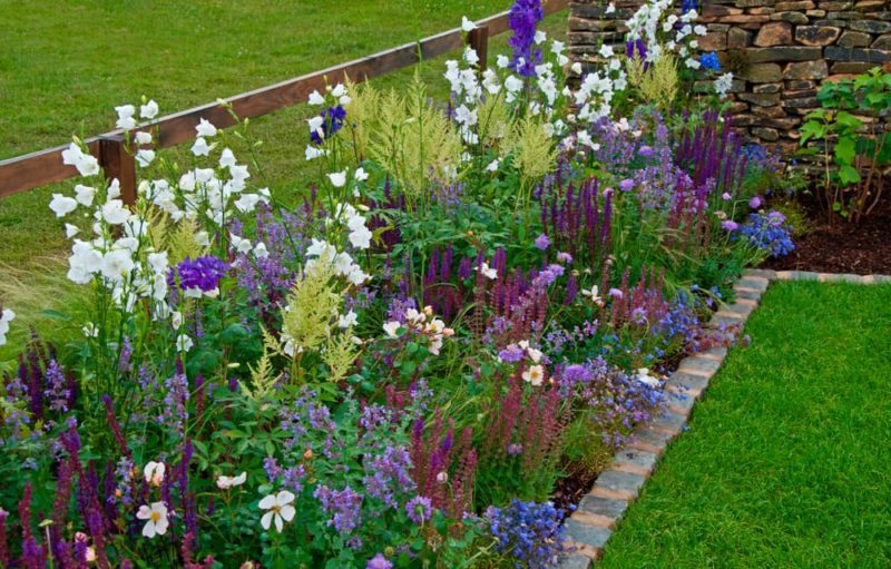 10 Plants For Narrow Garden Borders With Ideas From Flo Headlam
