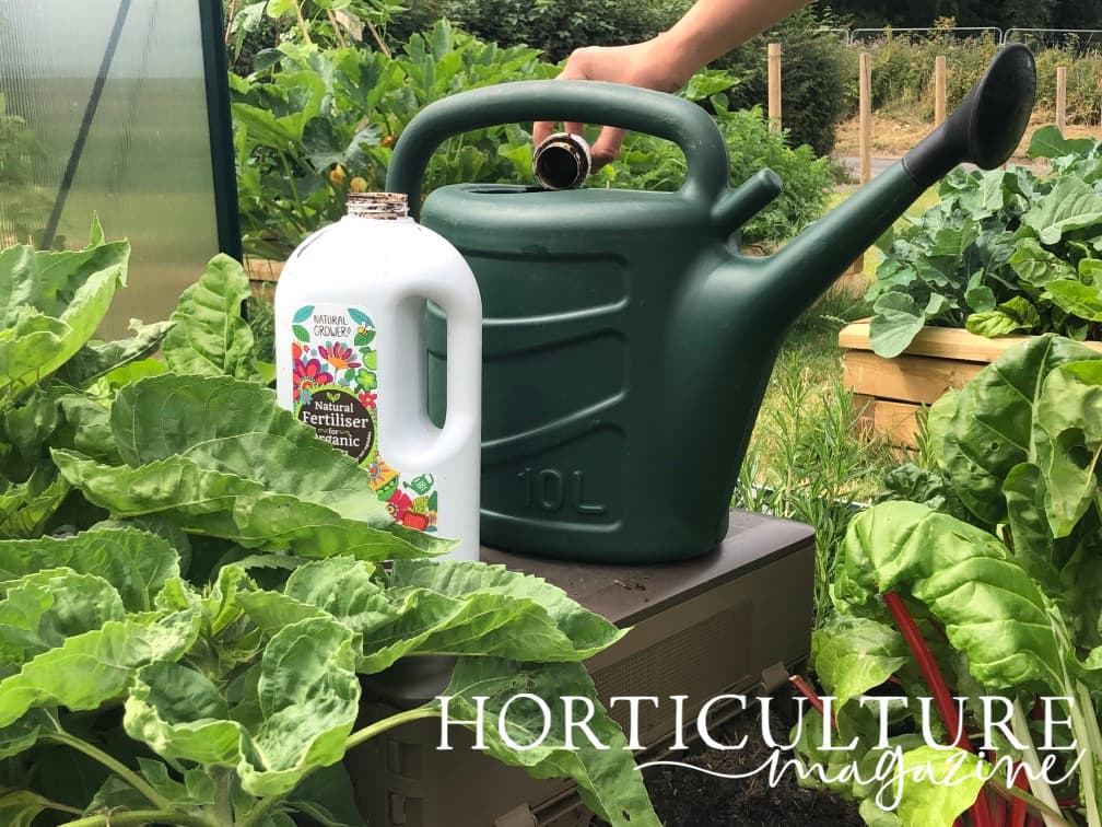 hand pouring fertiliser into a green watering can