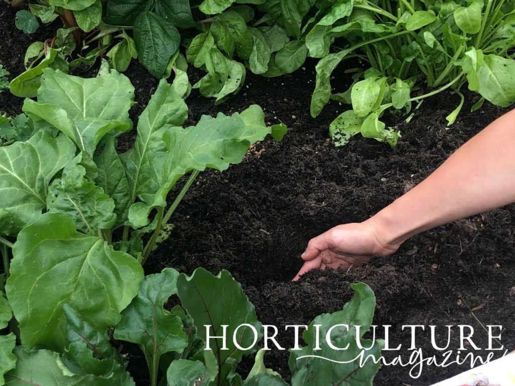hand shifting compost to make rows