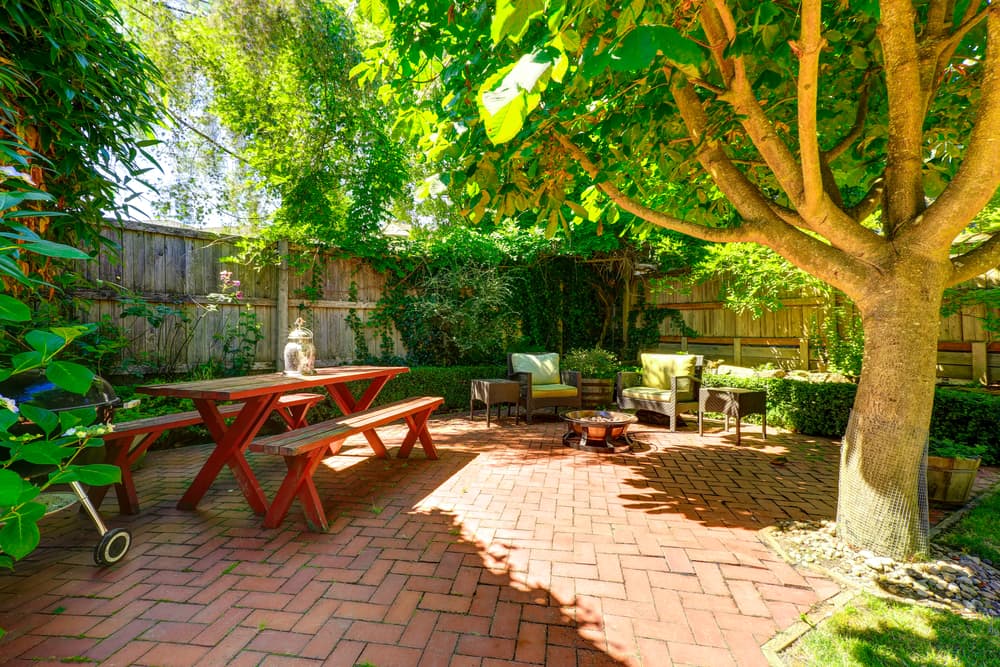 a back garden patio area with timber bench and large tree casting shade