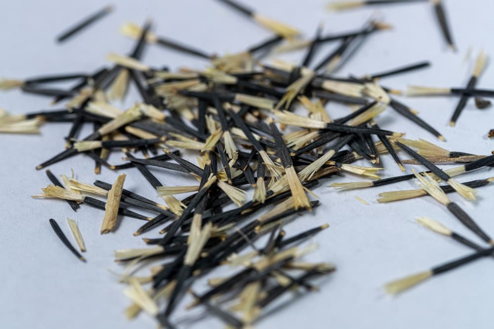 tagetes seeds on a white surface