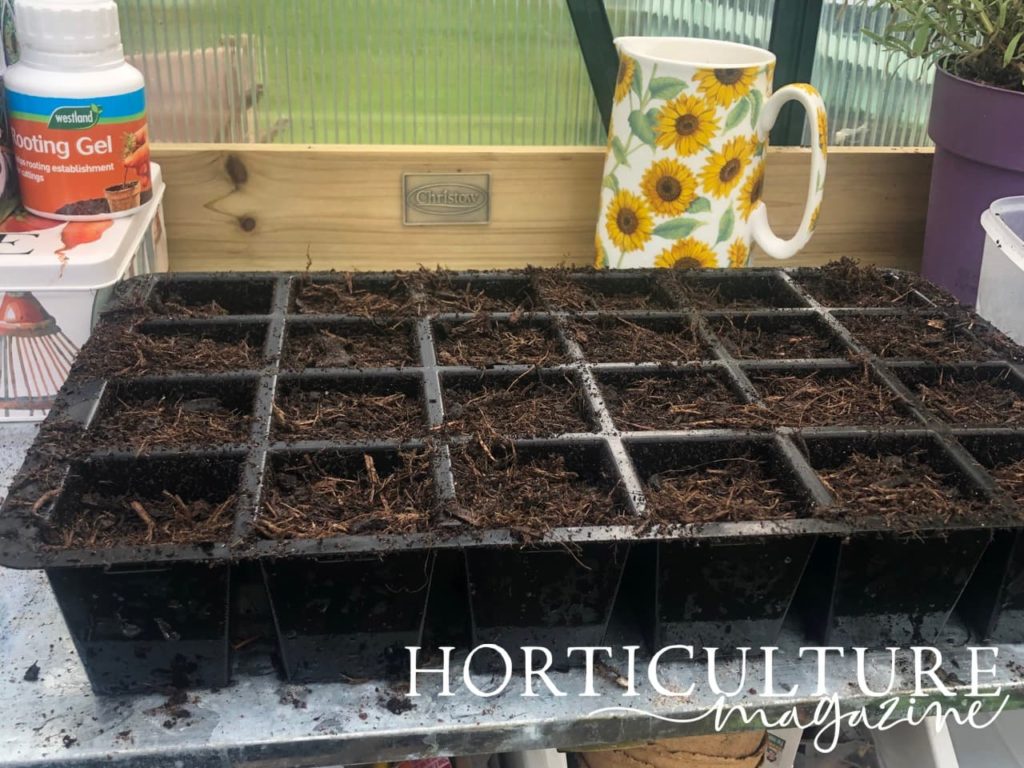 a plastic potting tray filled with fresh compost