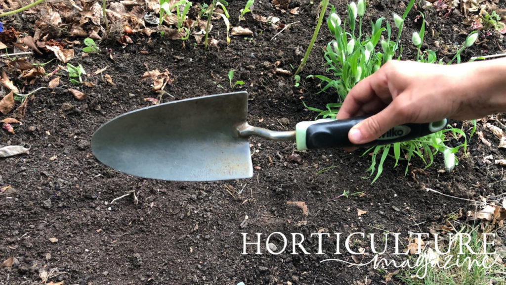 a hand holding a gardening trowel with a soil bed in the background