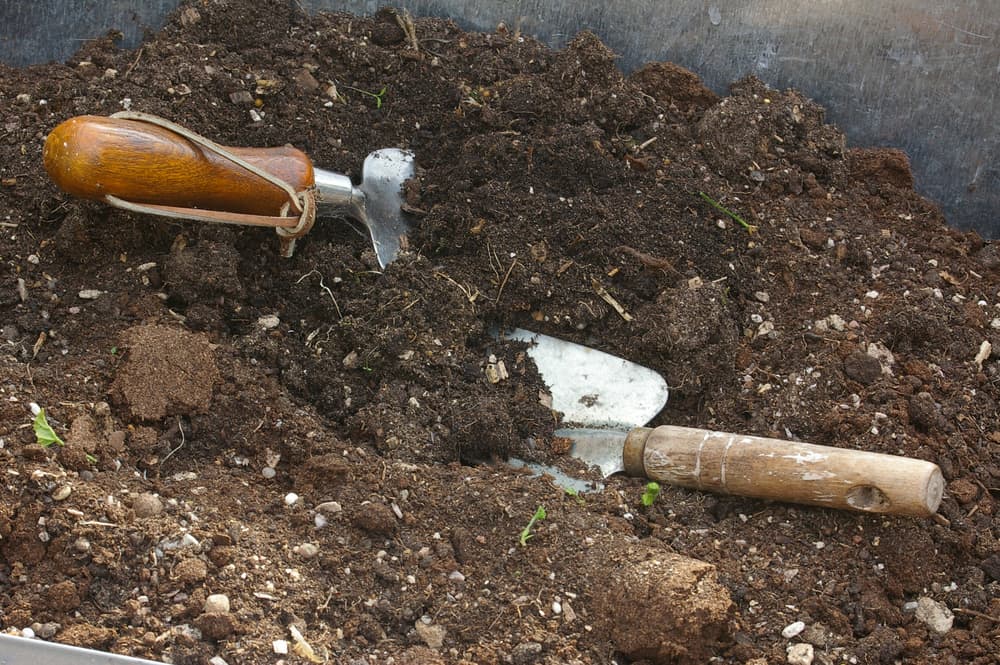 two trowels laid in a large container of soil