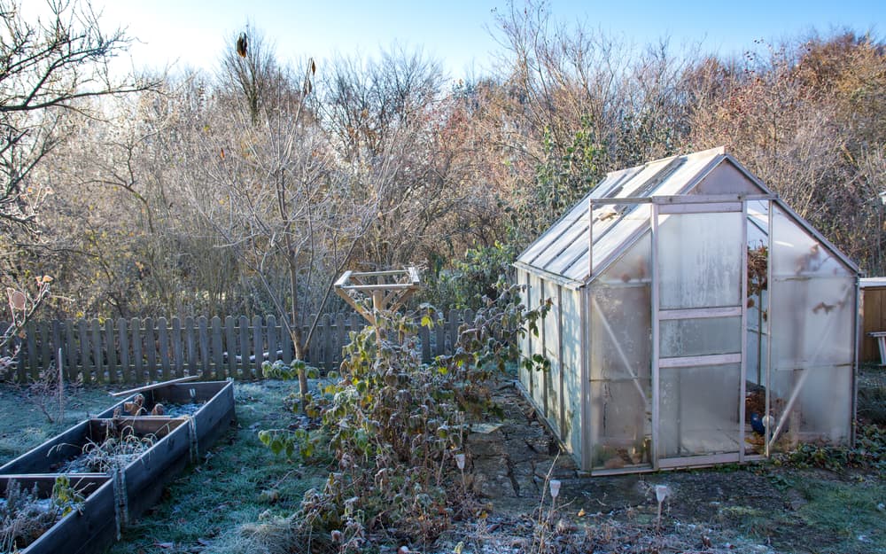 a frost covered garden in winter with a large greenhouse with its door ajar