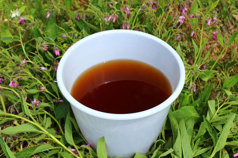 brown liquid comfrey fertiliser tea in a white bucket