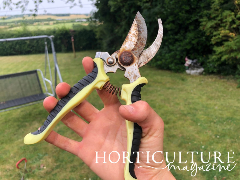 a pair of secateurs being held up in front of a garden with trees and a garden swing in the background.