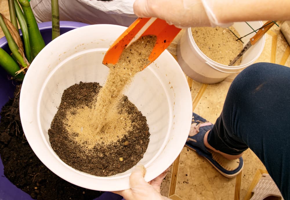 sand being poured into a container filled with soil