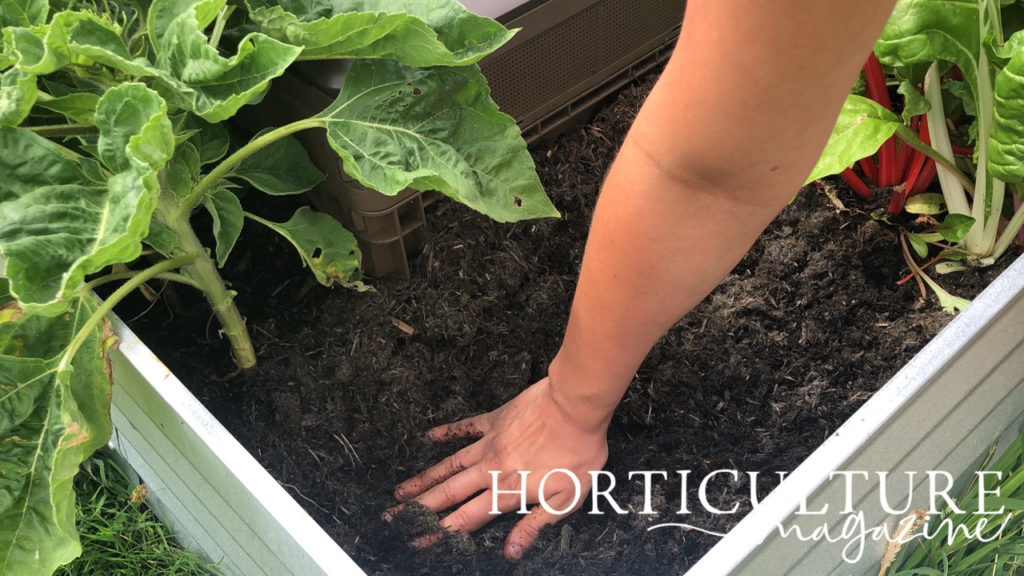 A hand patting down the soil into the planter