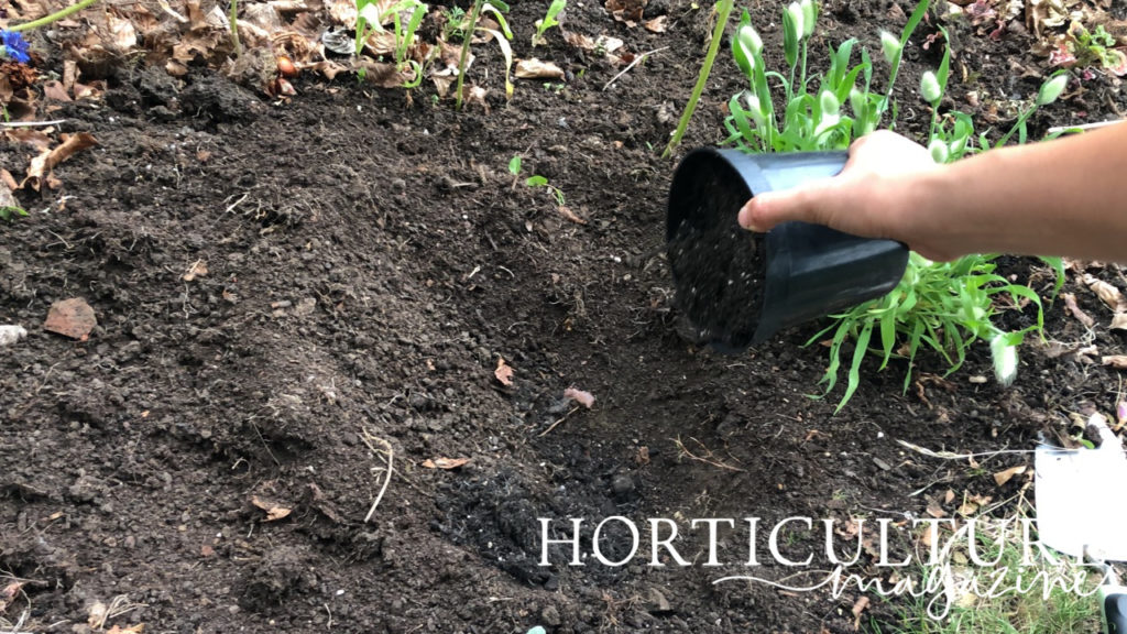 a pot containing compost being scattered over soil with some plants growing behind