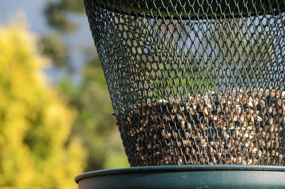 bird seed in a feeder basket