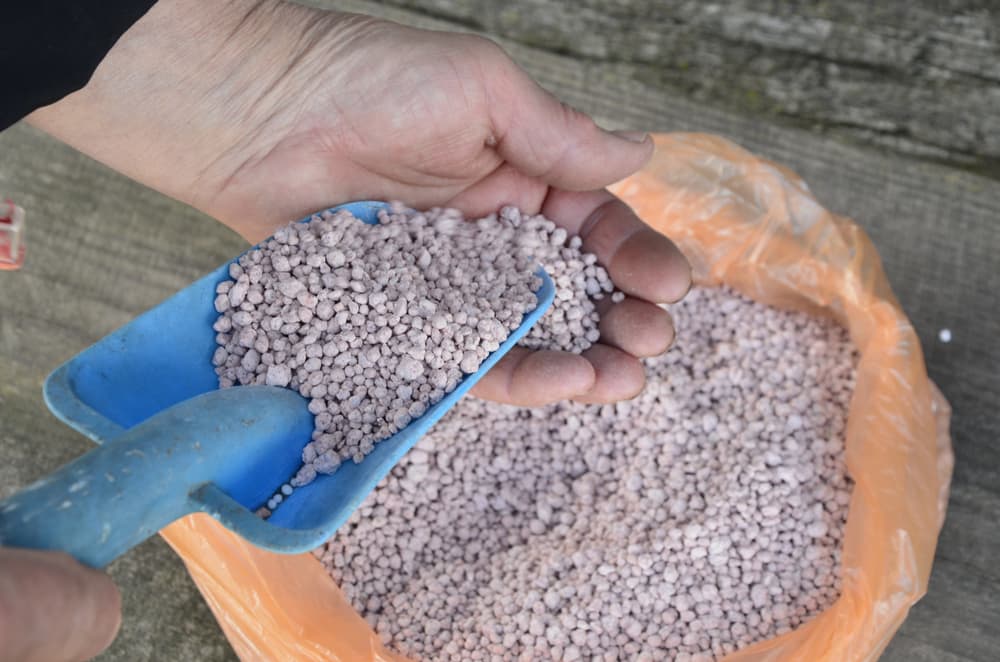 a blue trowel being used to pour fertiliser granules into the palm of a hand