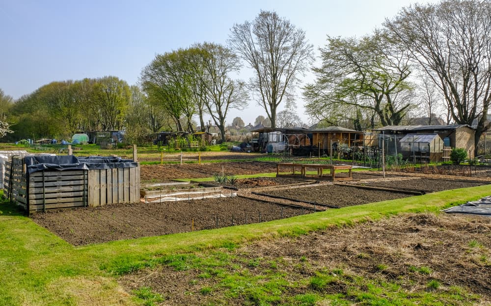 a large allotment with beds that have been freshly tilled