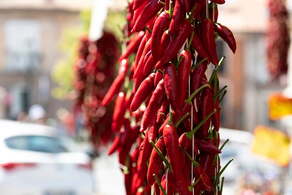 Calabrian chillies hung out to dry in the sunshine with a car in the background