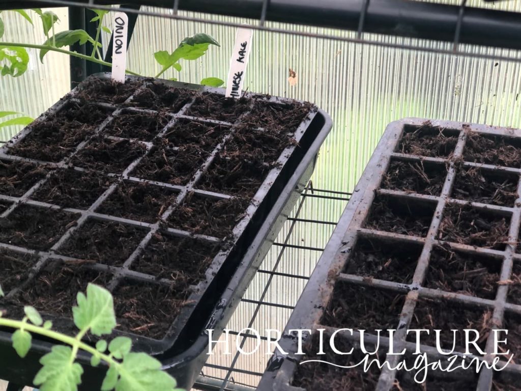 a potting trays with planted seeds and labels that read 'onion' and 'chinese kale'